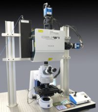 Homogenizer - Gataca Systems